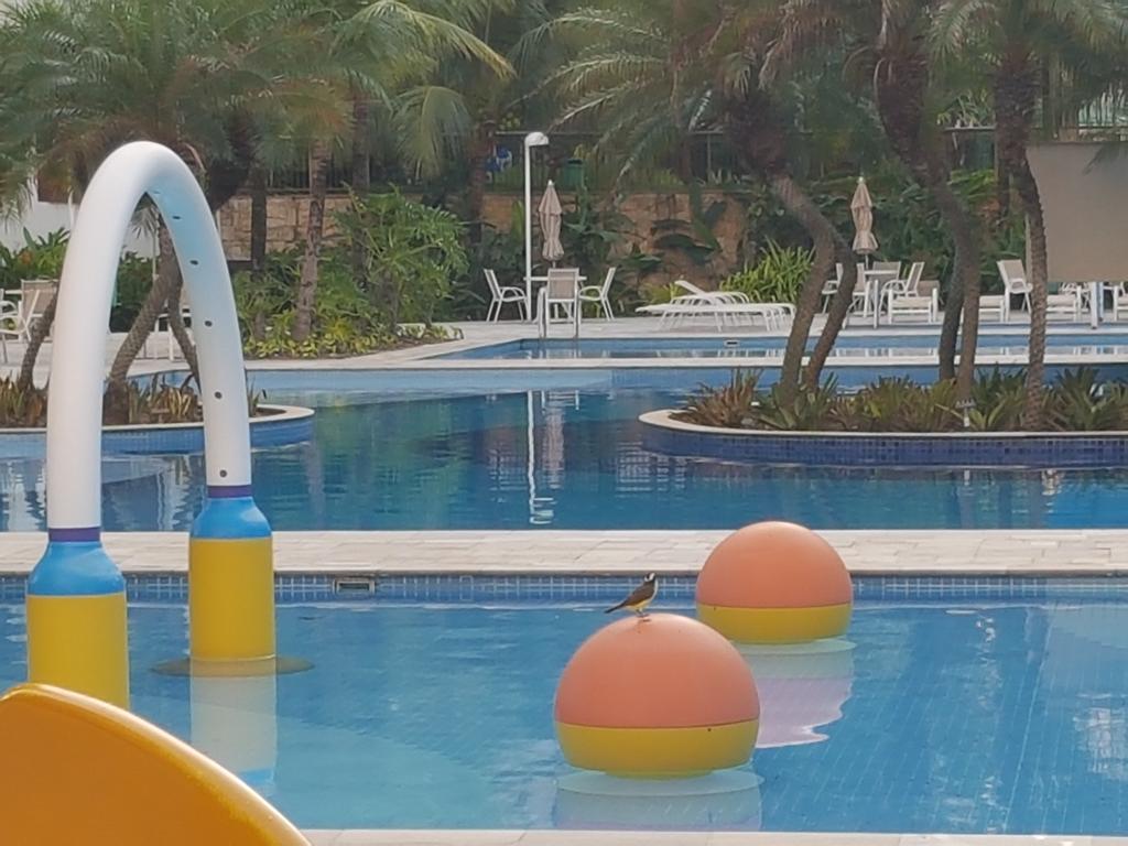 Sweet Comfort Apartment In Rio Рио-де-Жанейро Экстерьер фото